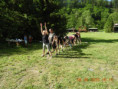 /album/2026/2trening-na-presun-zasob-jpg/